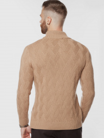 Светр Arber модель AO10.44.30 Фото