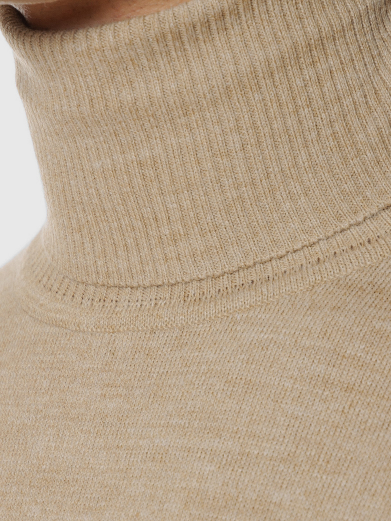 Водолазка Arber модель GO10.02.30 Фото