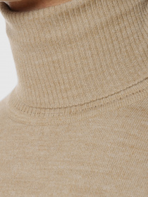 Водолазка Arber модель GO10.02.30 Фото