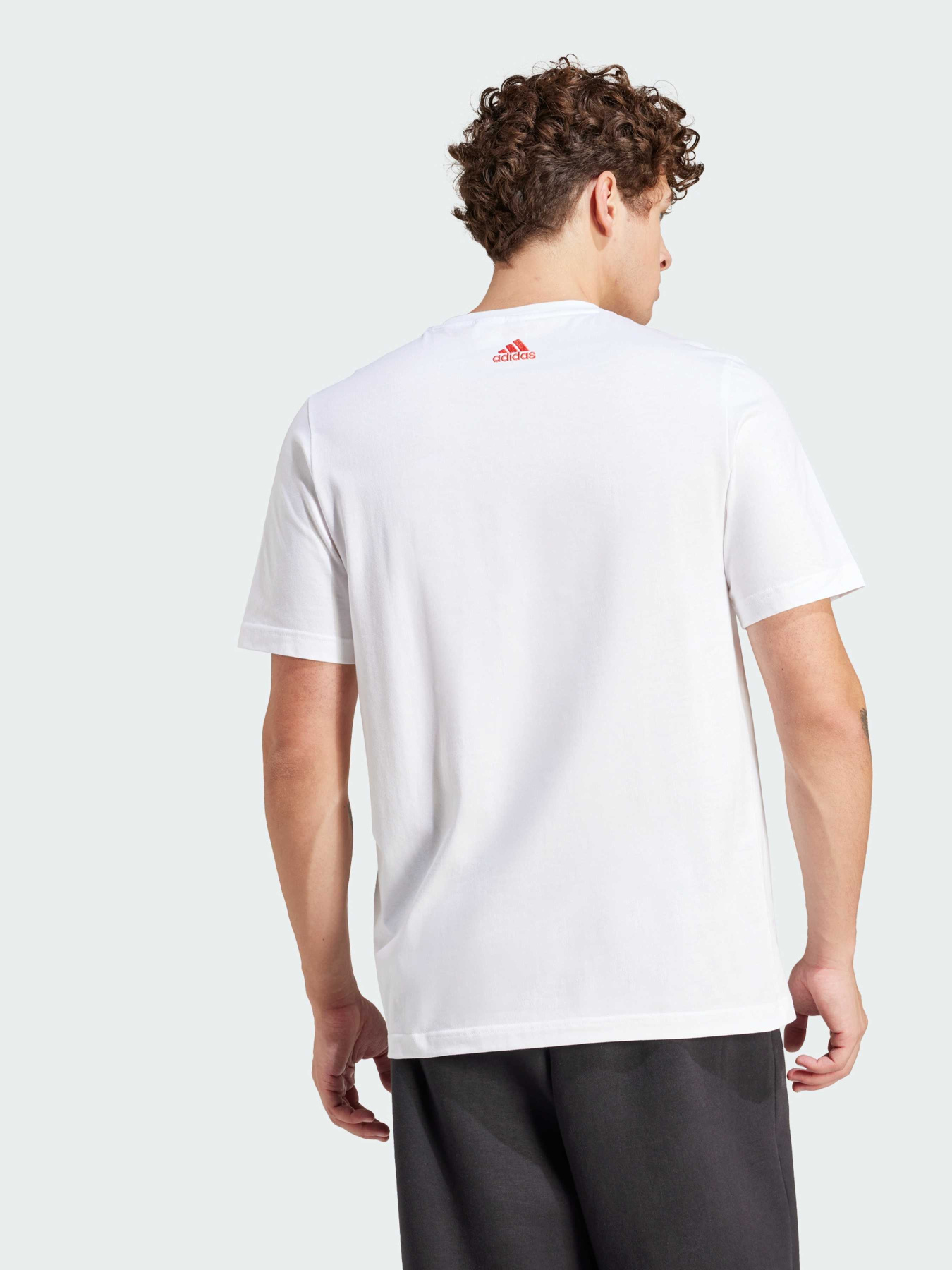 Футболка Adidas модель IN6257 Фото