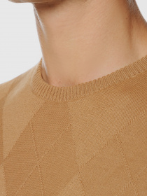 Джемпер Arber модель GO10.14.30 Фото