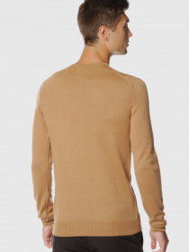 Джемпер Arber модель GO10.14.30 Фото