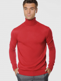 Водолазка Arber модель GO10.17.30 Фото