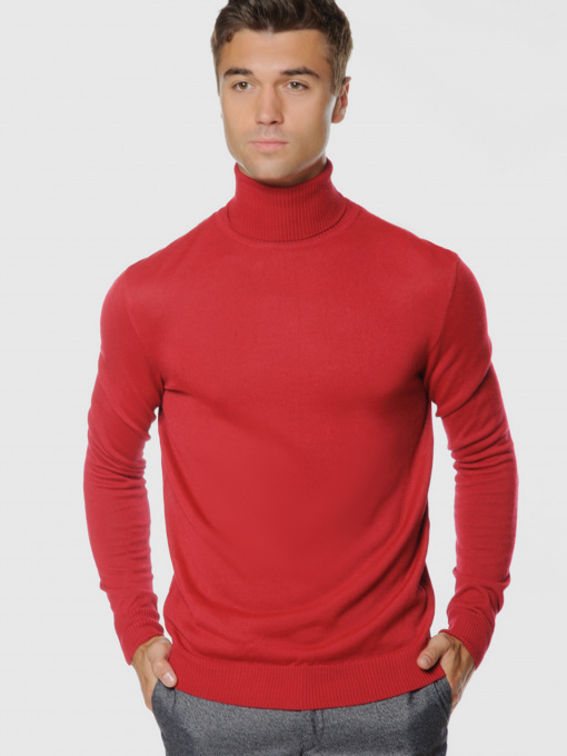 Водолазка Arber модель GO10.17.30 Фото