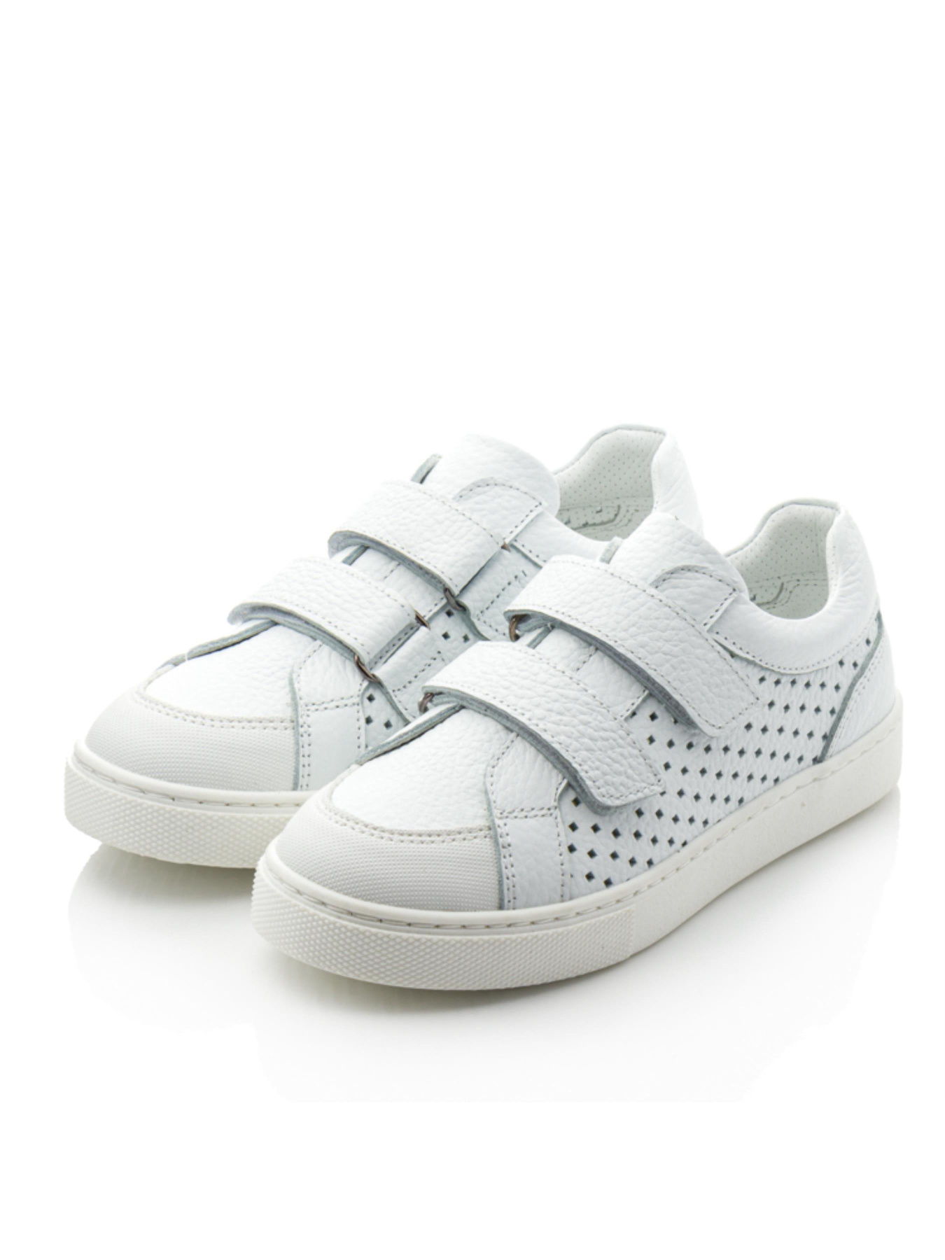 Кеды низкие Papi модель p10420 Фото