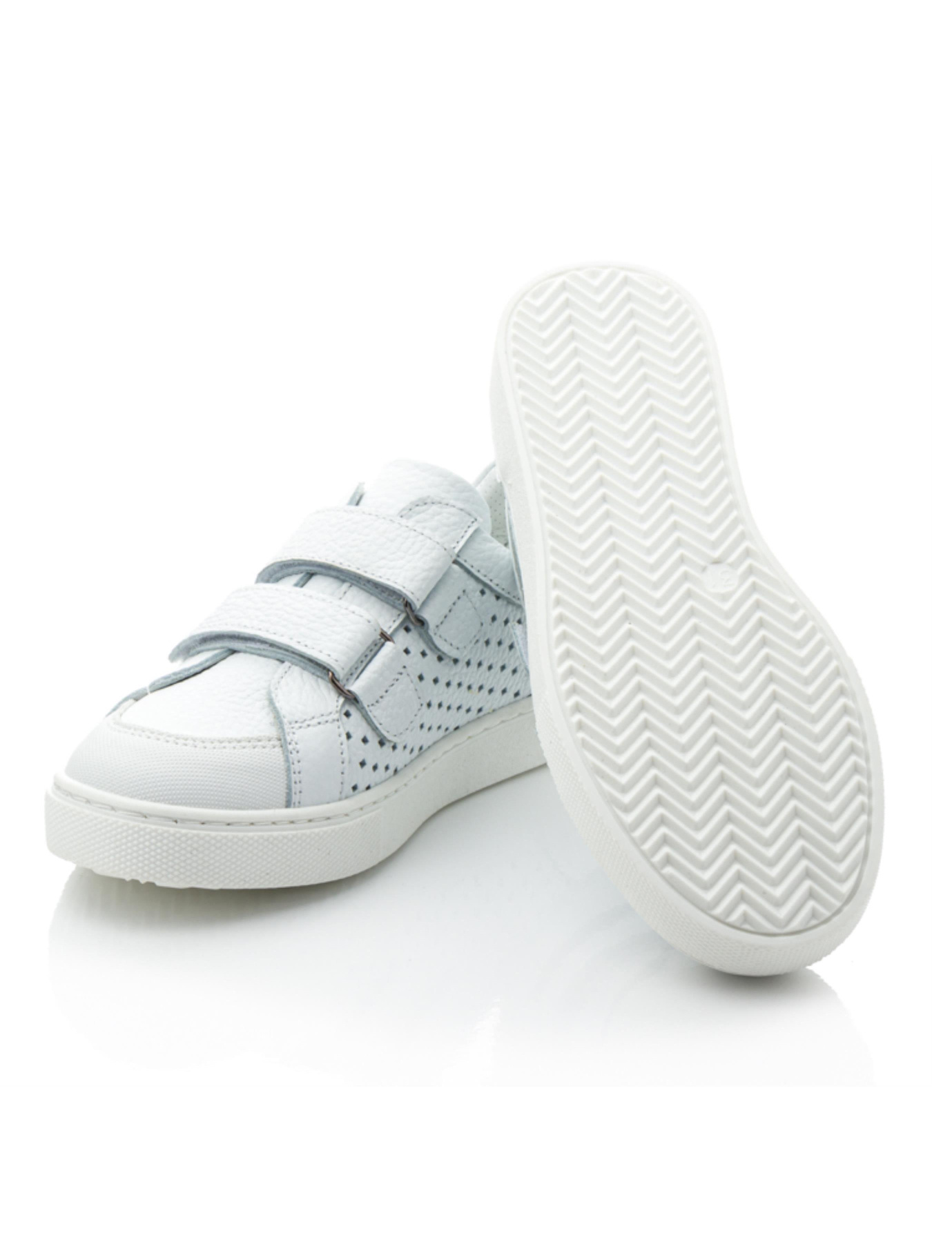 Кеды низкие Papi модель p10420 Фото