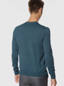 Джемпер Arber модель GO10.26.30 Фото