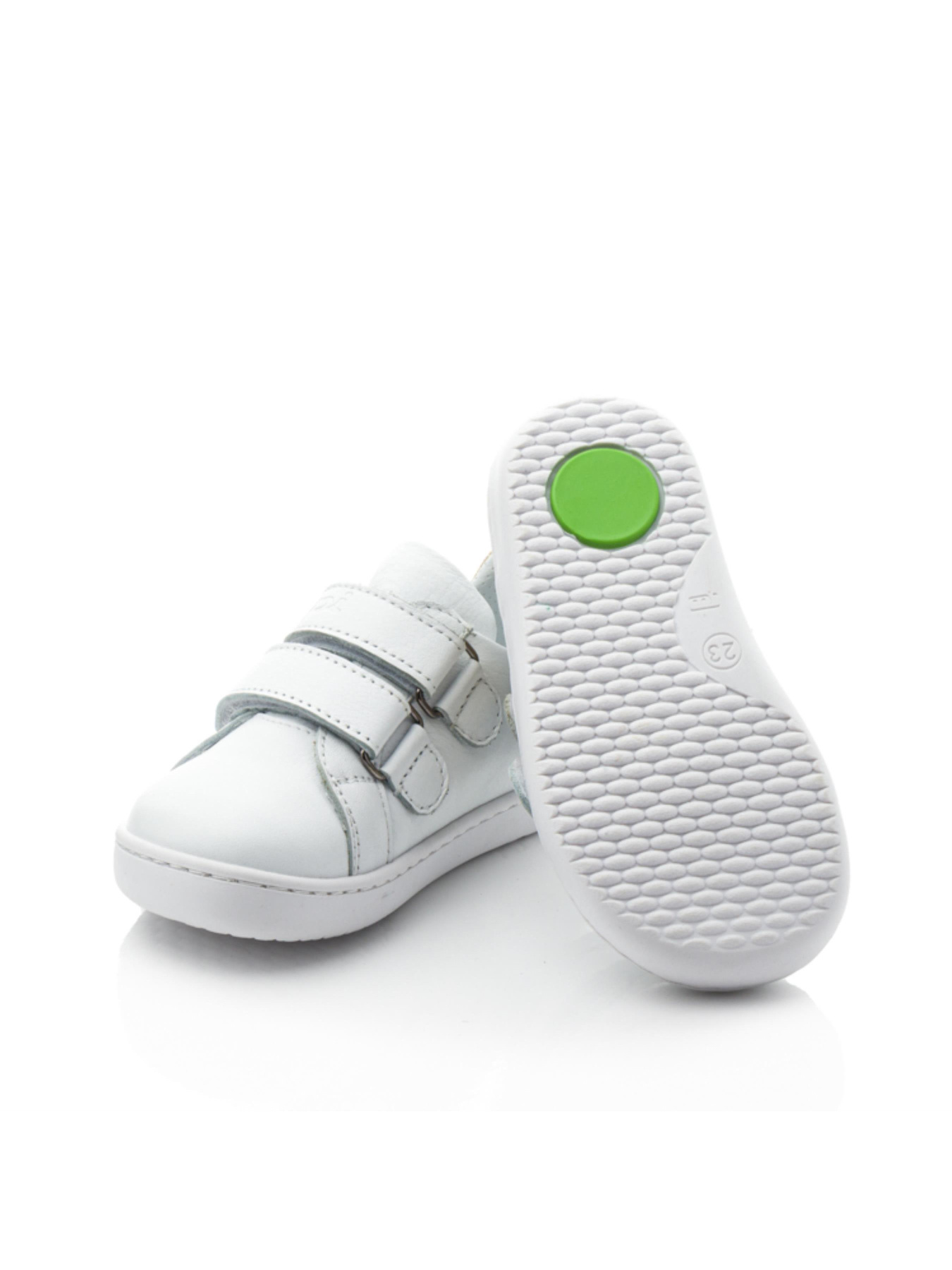 Кеди низькі Papi модель p10427 Фото