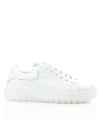 Кеды низкие Papi модель p10430 Фото