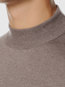 Джемпер Arber модель AO10.60.30 Фото