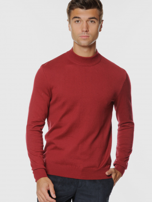 Джемпер Arber модель AO10.65.30 Фото