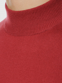 Джемпер Arber модель AO10.65.30 Джемпер Arber модель AO10.65.30 Фото