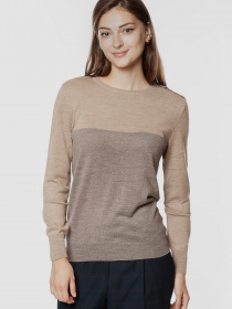 Джемпер Arber модель GOW10.01.17 Фото