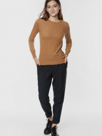 Джемпер Arber модель GOW10.03.16 Фото