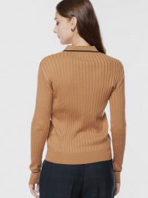 Поло Arber модель AOW10.08.17 Фото