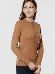 Джемпер Arber модель GOW10.04.40 Фото