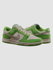 Кросівки NIKE Dunk модель DR0156-300 Фото