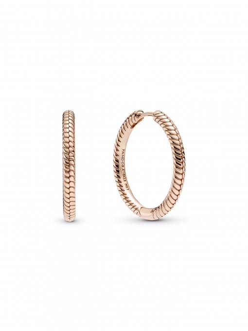 Серьги-кольца PANDORA Moments модель 289532C00 Фото