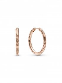 Хупи PANDORA Moments модель 289532C00 Фото