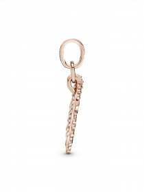 Класичні PANDORA Moments модель 789550C01 Фото