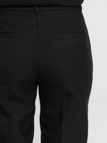 Штани класичні Arber модель W01.21.02.512 Фото