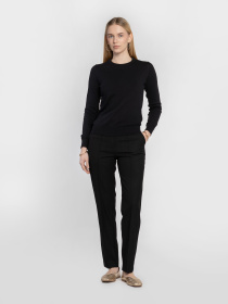 Класичні штани Arber модель W01.21.02.512 Фото