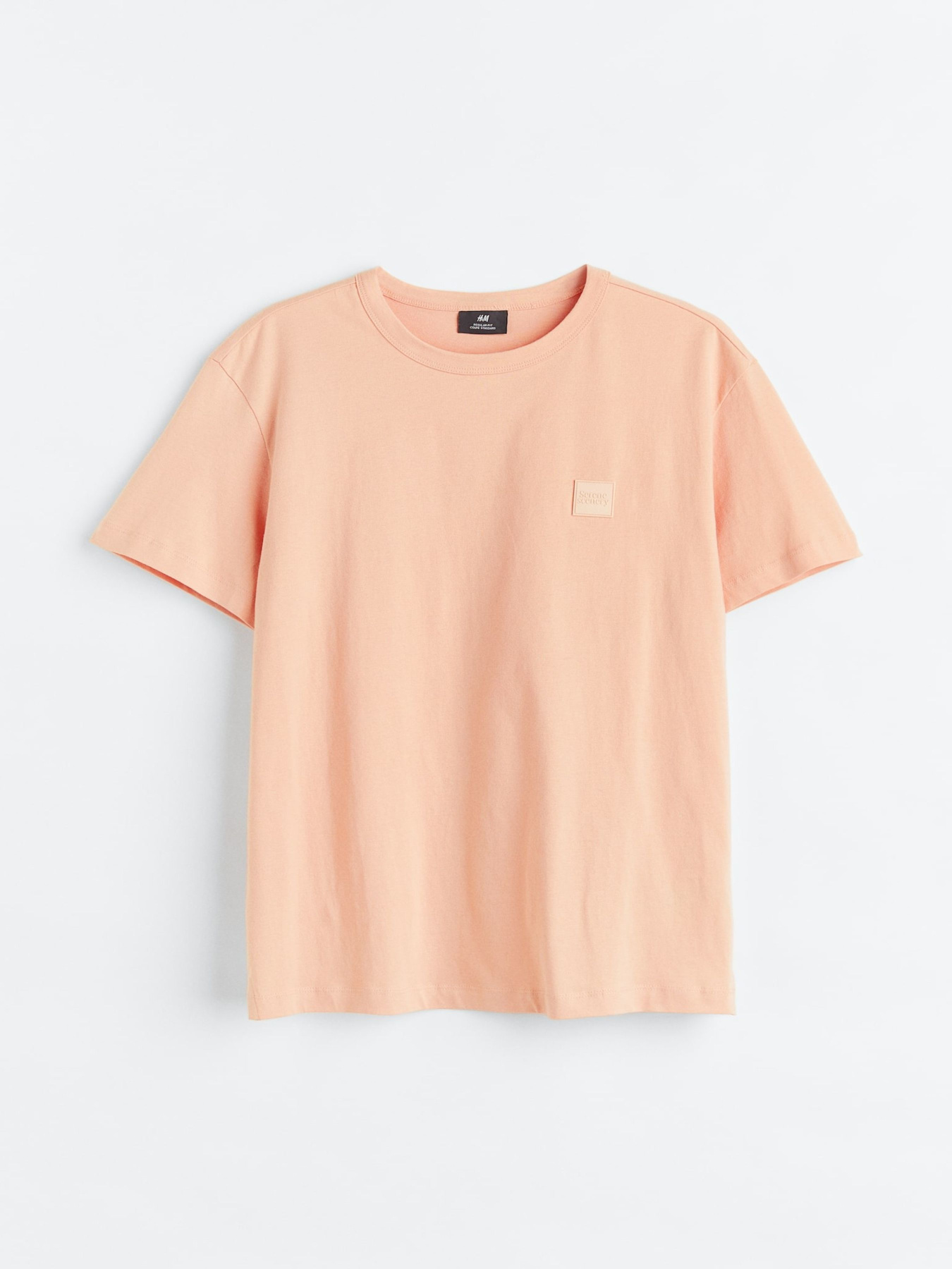 Футболка H&M модель 75562 Футболка H&M модель 75562 Фото