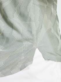 Спортивная футболка Adidas модель JD7789 Фото