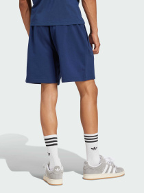 Шорти Adidas Graphics модель JD3336 Фото