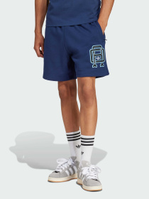 Шорти Adidas Graphics модель JD3336 Фото