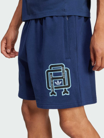 Повсякденні шорти Adidas Graphics модель JD3336 Фото