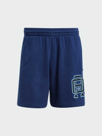 Повсякденні шорти Adidas Graphics модель JD3336 Фото