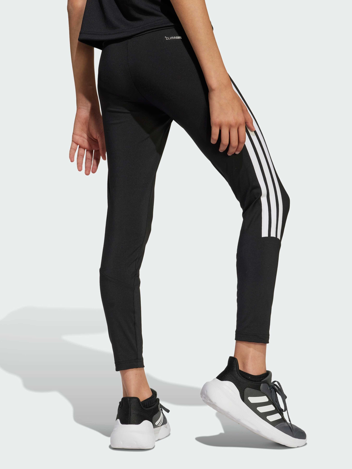 Легінси Adidas модель JJ5036 Фото