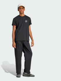 Футболка Adidas Graphics модель JN7032 Футболка Adidas Graphics модель JN7032 Фото