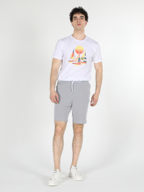 Шорты Colin’s модель CL1057989_Q1.V1_GRA Фото