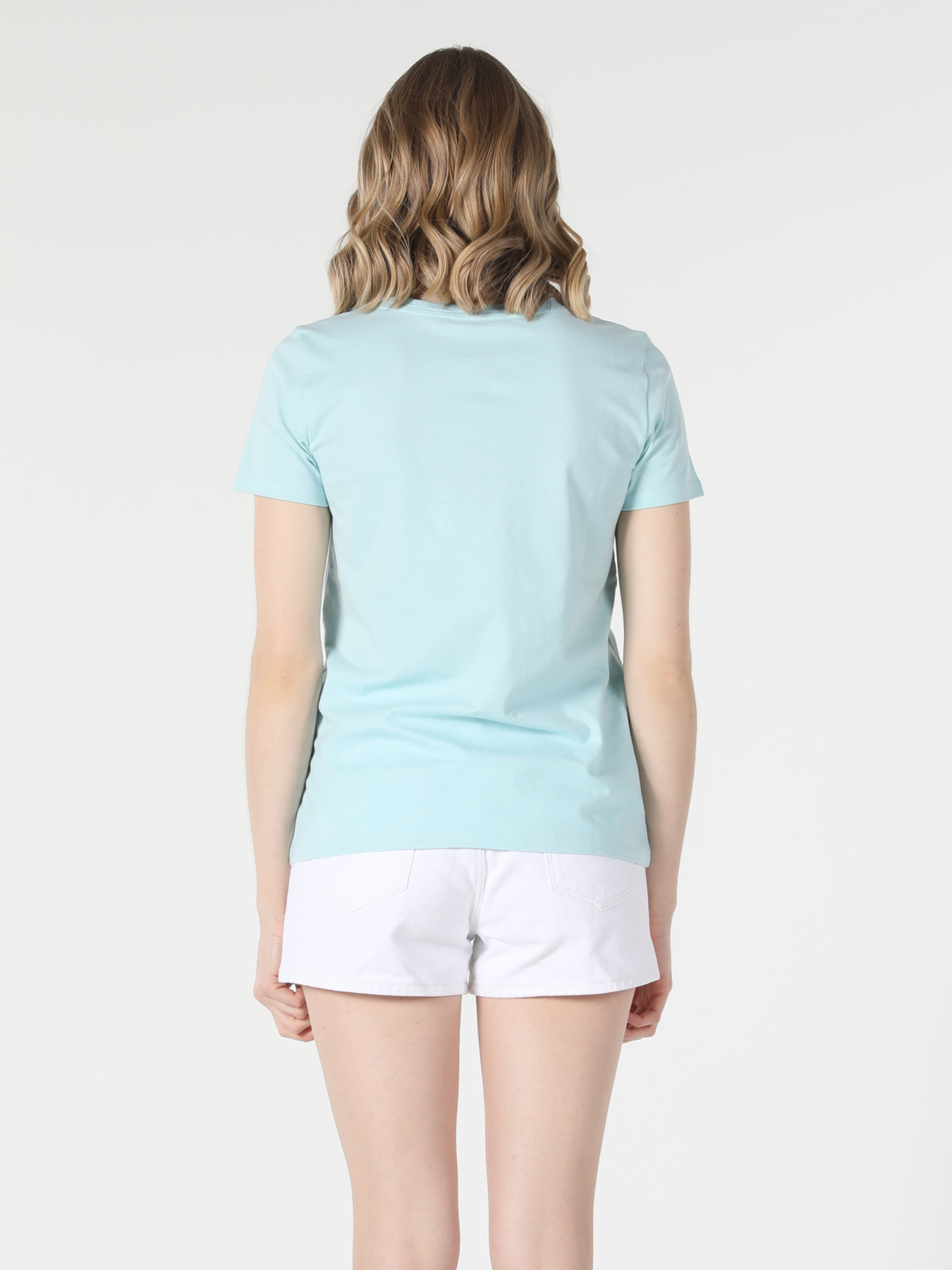 Футболки и поло Colin’s модель CL1058806_Q1.V1_MGR Фото