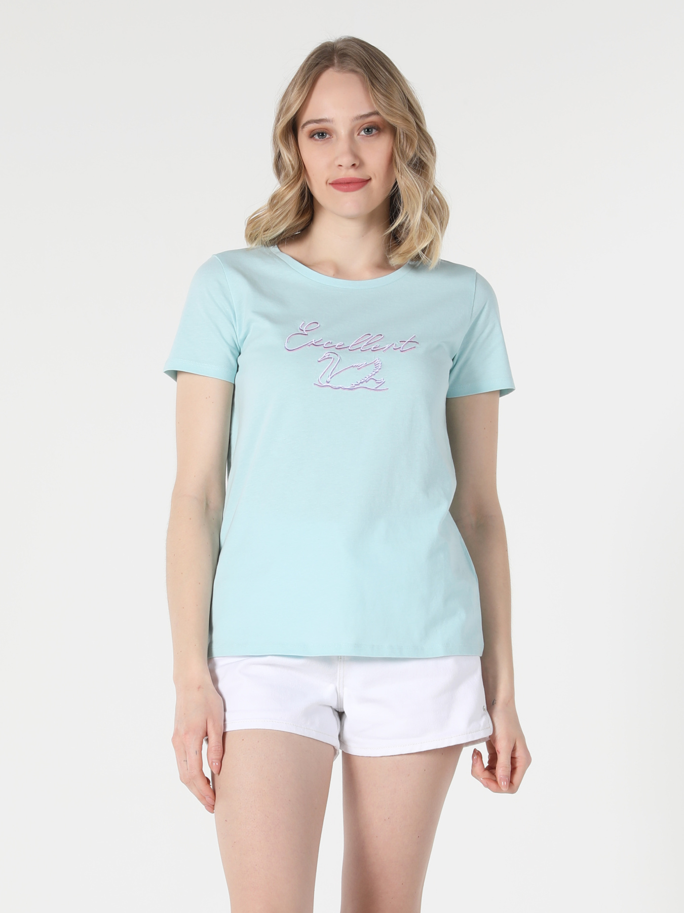 Футболки и поло Colin’s модель CL1058806_Q1.V1_MGR Фото