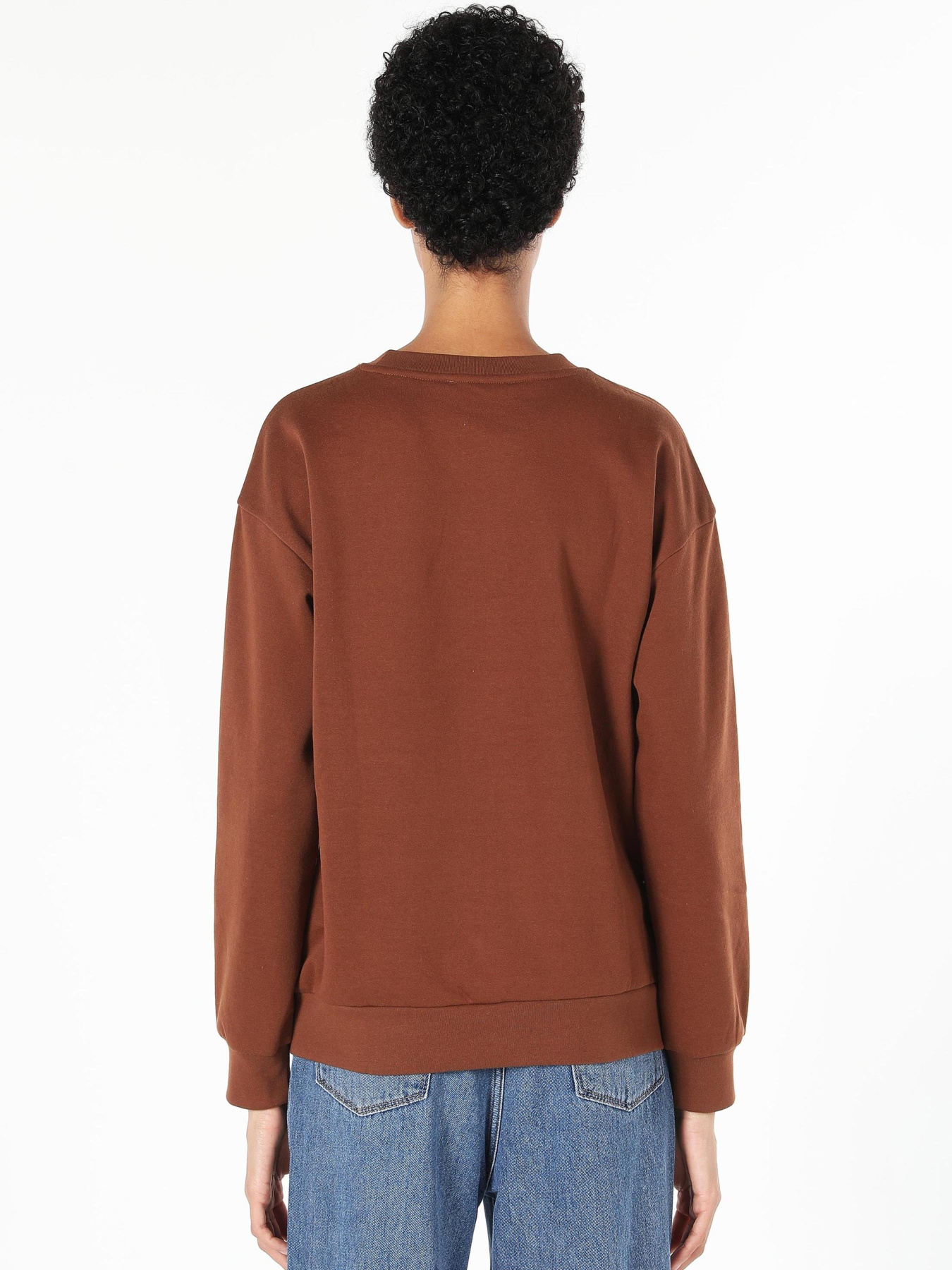 Худі та світшоти Colin’s модель CL1061085_Q1.V1_BRW Худі та світшоти Colin’s модель CL1061085_Q1.V1_BRW Фото