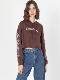 Кофты и свитера Colin’s модель CL1060207_Q1.V1_BRW Фото