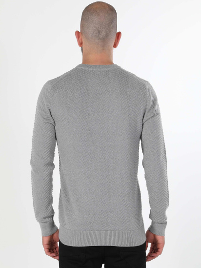Кофти та светри Colin’s модель CL1059924_Q1.V1_MGA — фото - INTERTOP