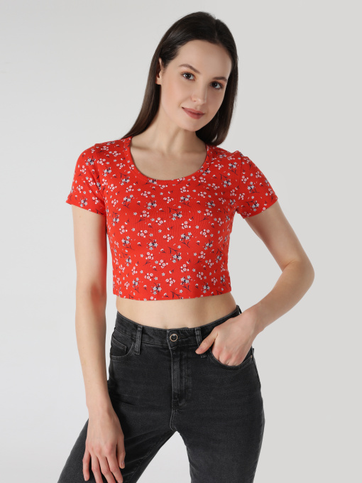 Футболки і поло Colin’s модель CL1063447_Q1.V1_CRL Фото