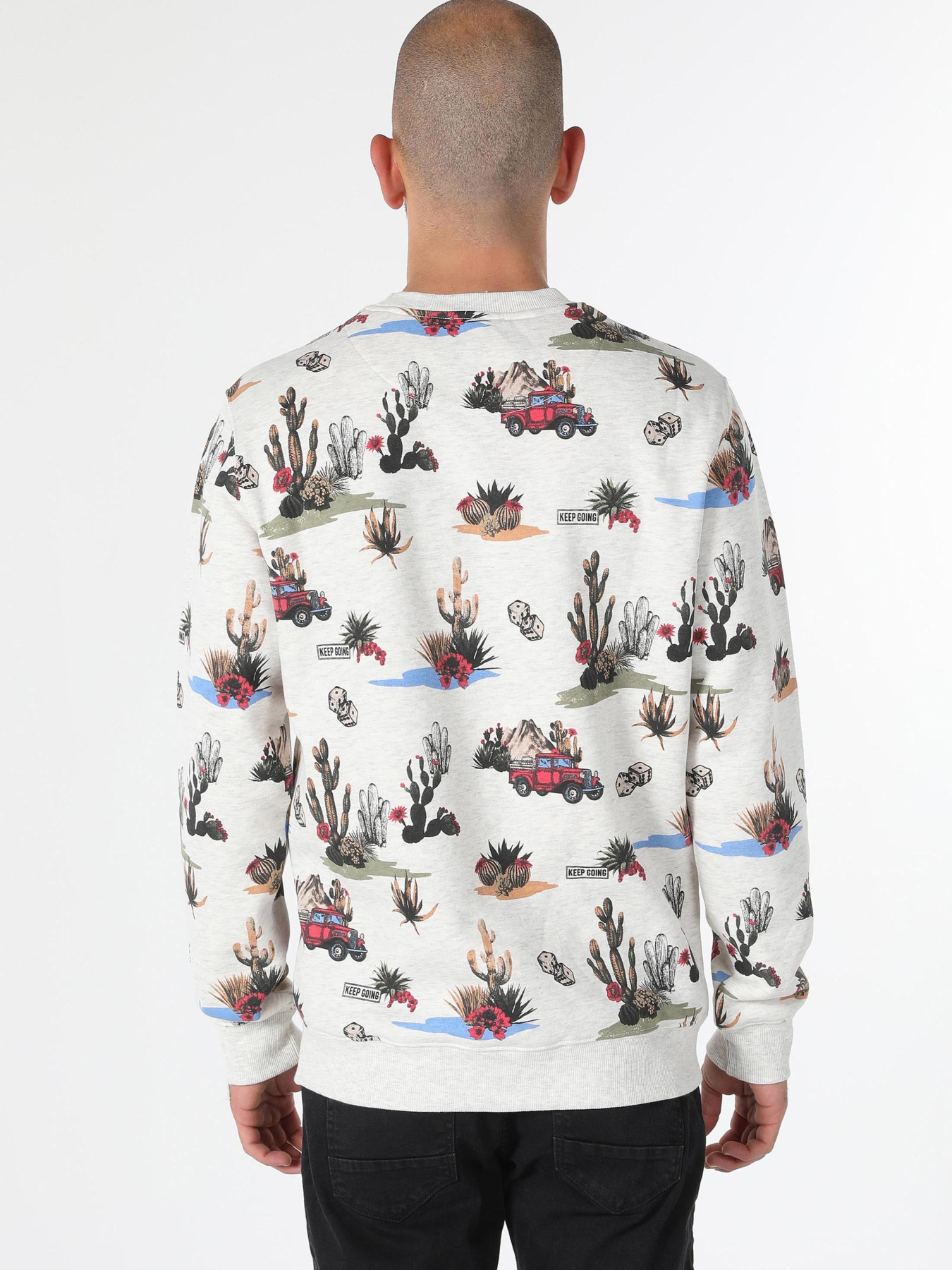 Худи и свитшоты Colin’s модель CL1061632_Q1.V1_SNM Фото