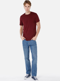 Футболки и поло Colin’s модель CL1058592_Q1.V1_BRD Фото