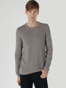 Кофти та светри Colin’s модель CL1061674_Q1.V1_BRW Фото