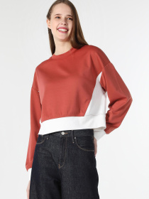 Кофты и свитера Colin’s модель CL1062018_Q1.V1_BOR Фото