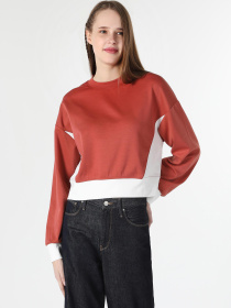 Худи и свитшоты Colin’s модель CL1062018_Q1.V1_BOR Фото