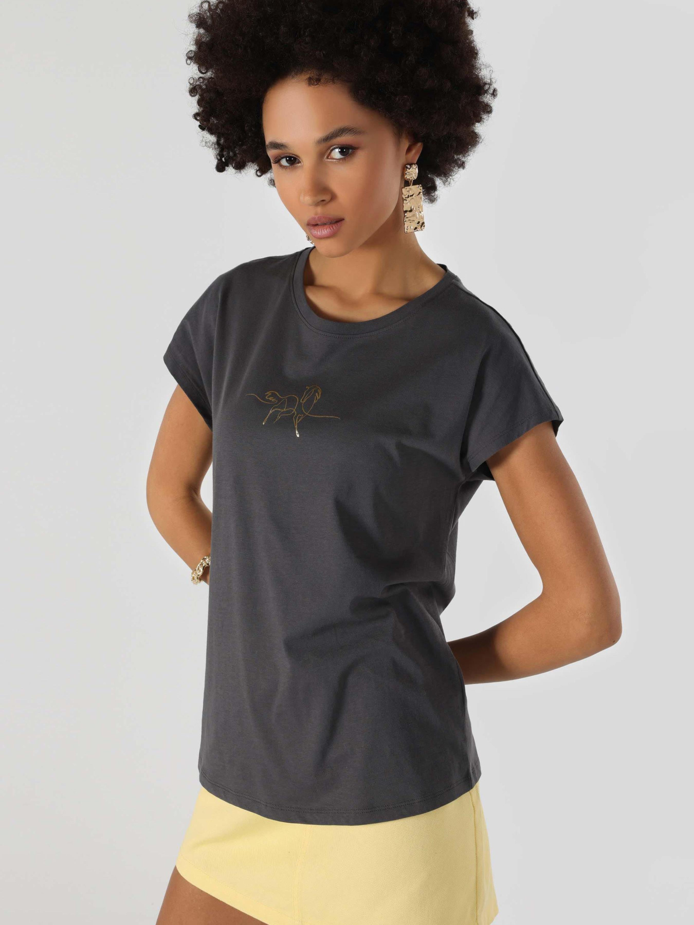 Футболки и поло Colin’s модель CL1063439_Q1.V1_ANT Фото