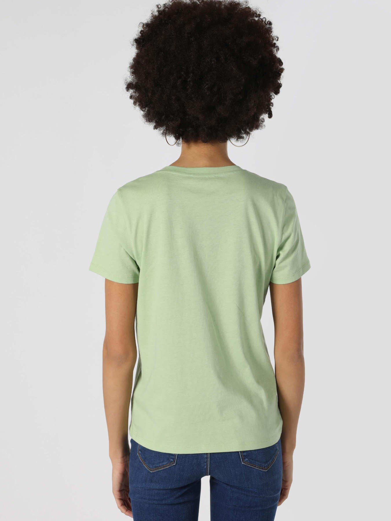 Футболки і поло Colin’s модель CL1063431_Q1.V1_FGR Фото