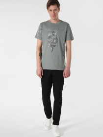 Футболки и поло Colin’s модель CL1061730_Q1.V1_GRA Фото