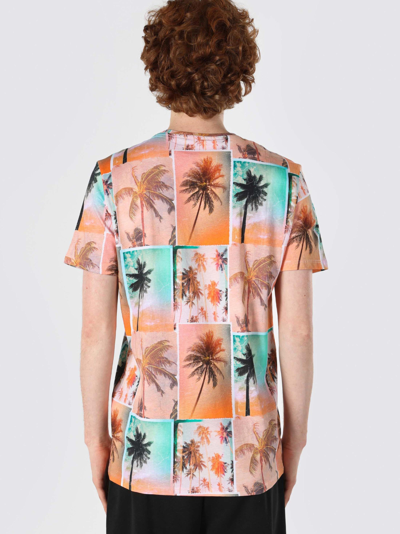 Футболки і поло Colin’s модель CL1064129_Q1.V1_MTC Фото